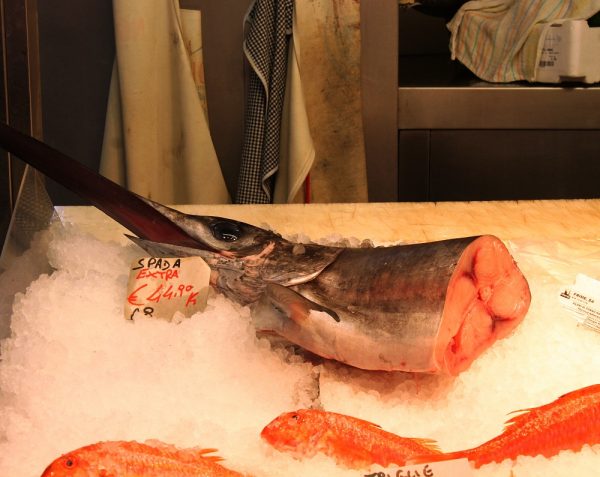 Incursioni in pescheria: alla scoperta dello Spada