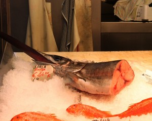 Pesce spada nostrano sui nostri mercati