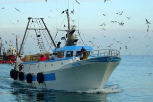 La pesca è un'attività tradizionalmente importante nel Mediterraneo