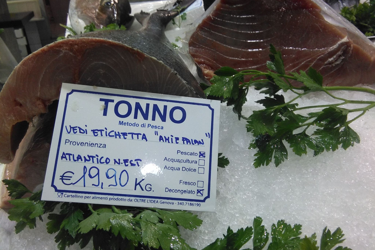 Questo filetto di tonno rosso viene dall'oceano Atlantico.