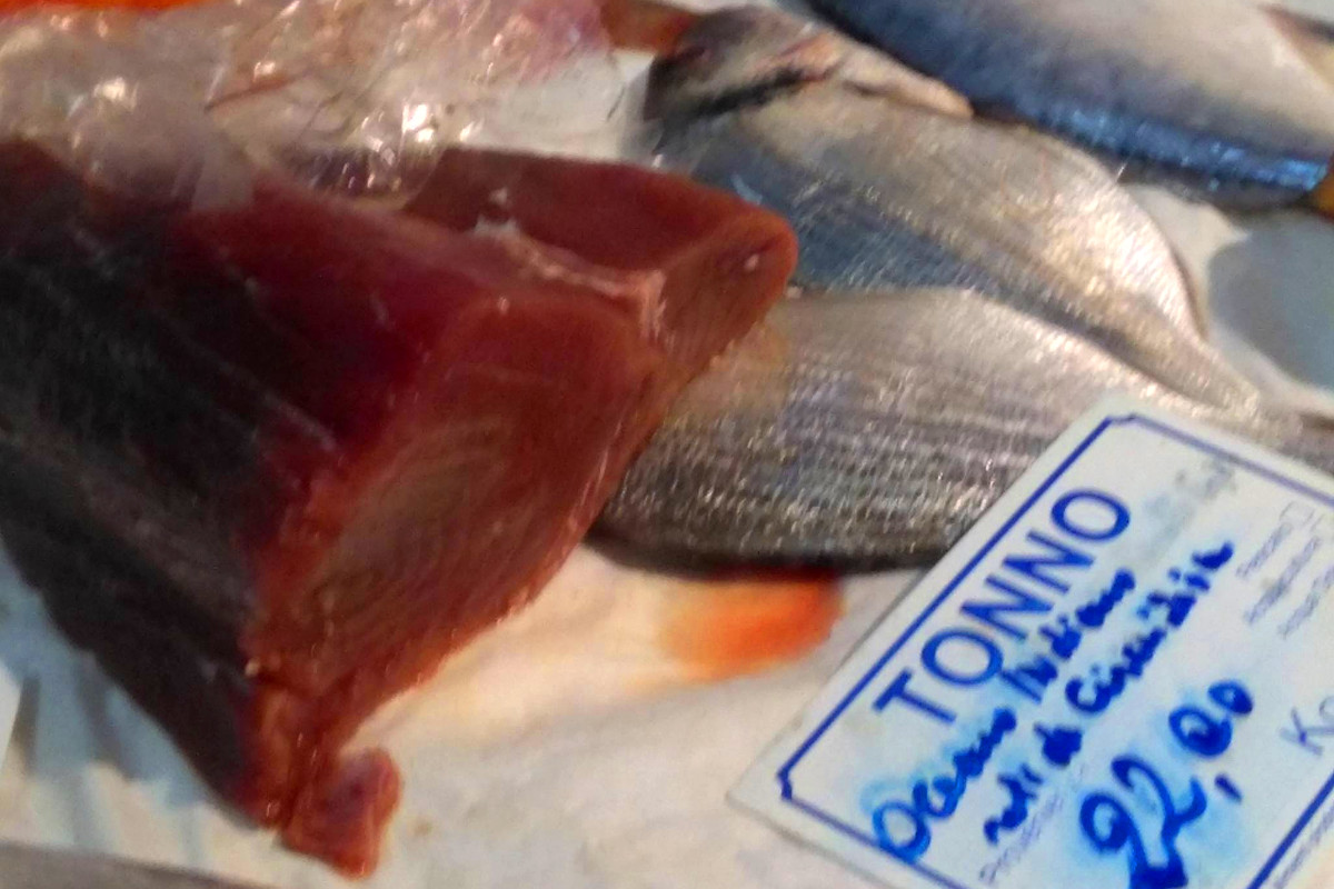 Ecco un filetto di tonno rosso che viene dall'oceano Indiano.