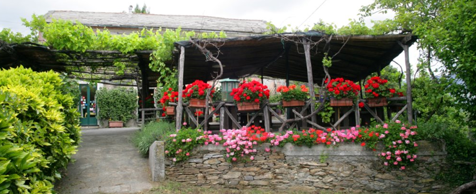 I fiori che circondano i tavoli esterni dell'osteria U Santu