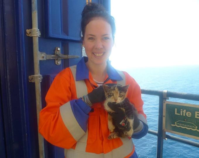 La prima foto alla gatta ritrovata su una petroliera in mezzo all'oceano
