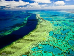La Grande barriera corallina australiana