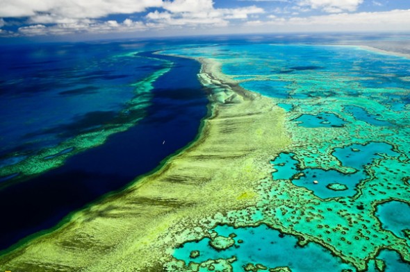 La Grande barriera corallina australiana
