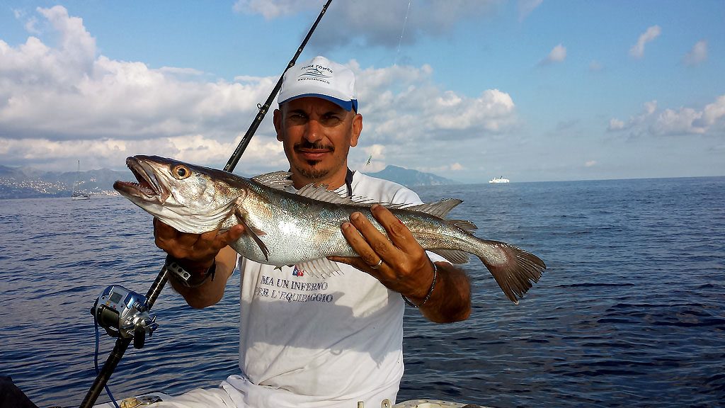 Il risultato di una sessione di pesca con il bolentino elettrico