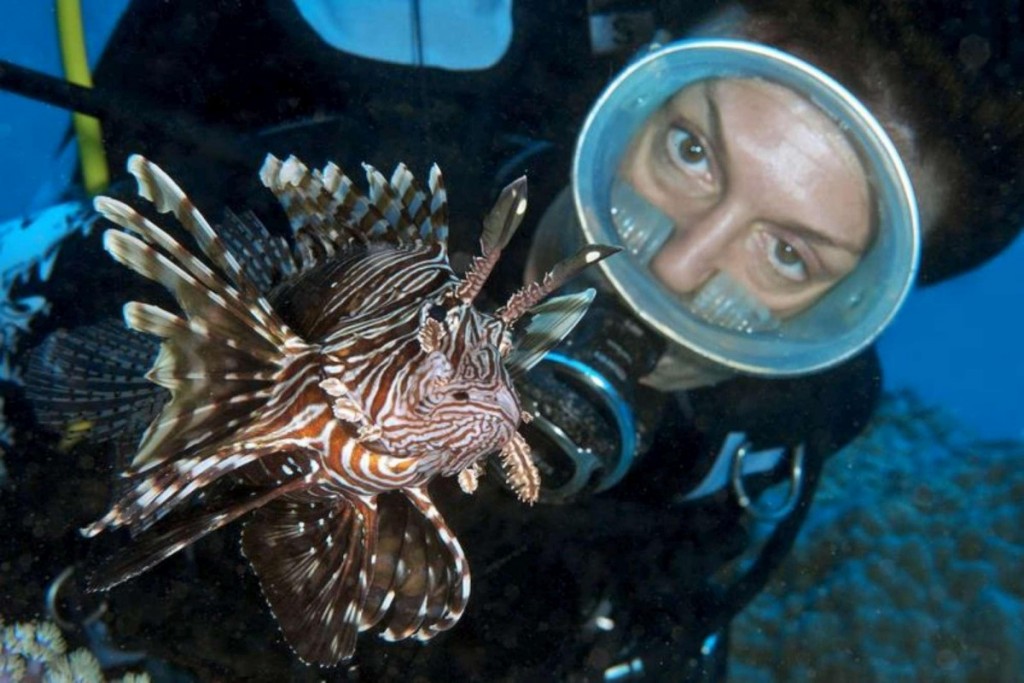 Sicilia: la specie tropicale arriva nel nostro mare.