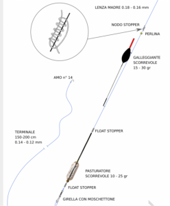 schema tecnica pesca bolognese