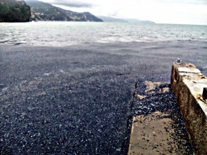Velelle spiaggia mare liguria