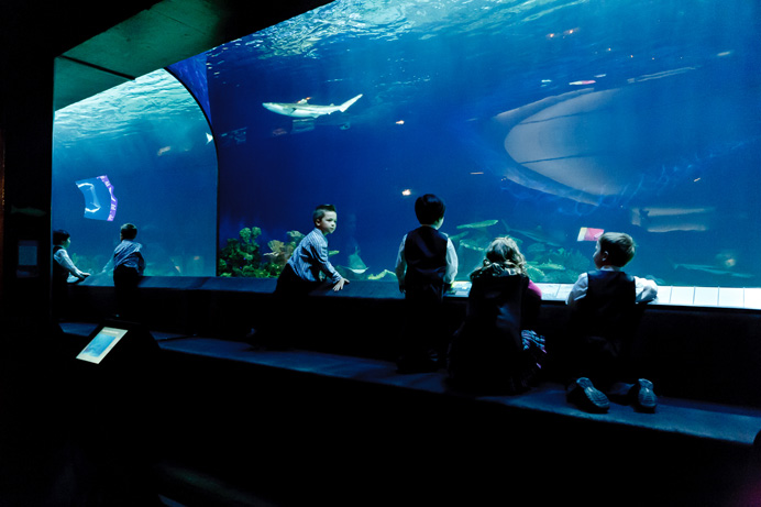 Le vasche dell'Acquario di Vancouver: la struttura contro l'inquinamento dell'Oceano.