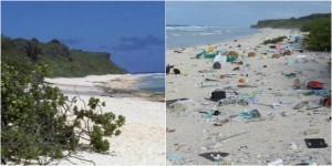 L'isola di Henderson è sommersa dalla plastica