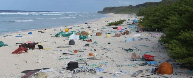 L'isola di Henderson è sommersa dalla plastica: un disastro ambientale