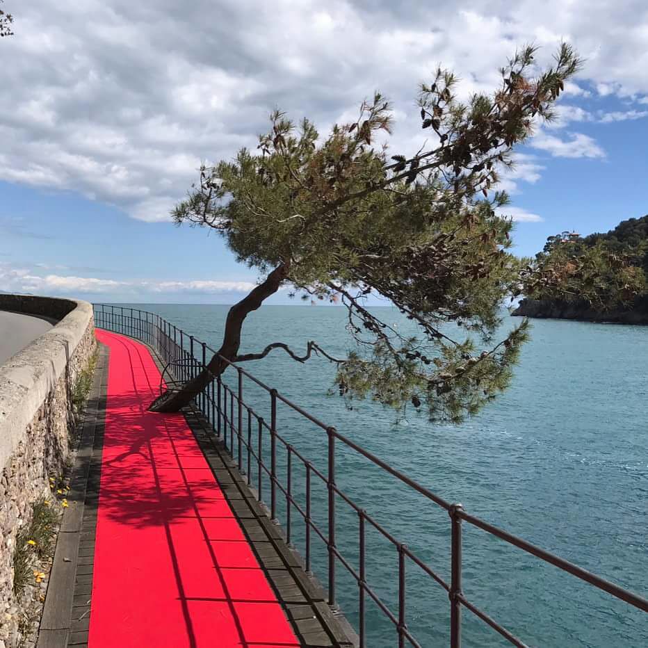 Passeggiata Rapallo-Portofino: panorama.