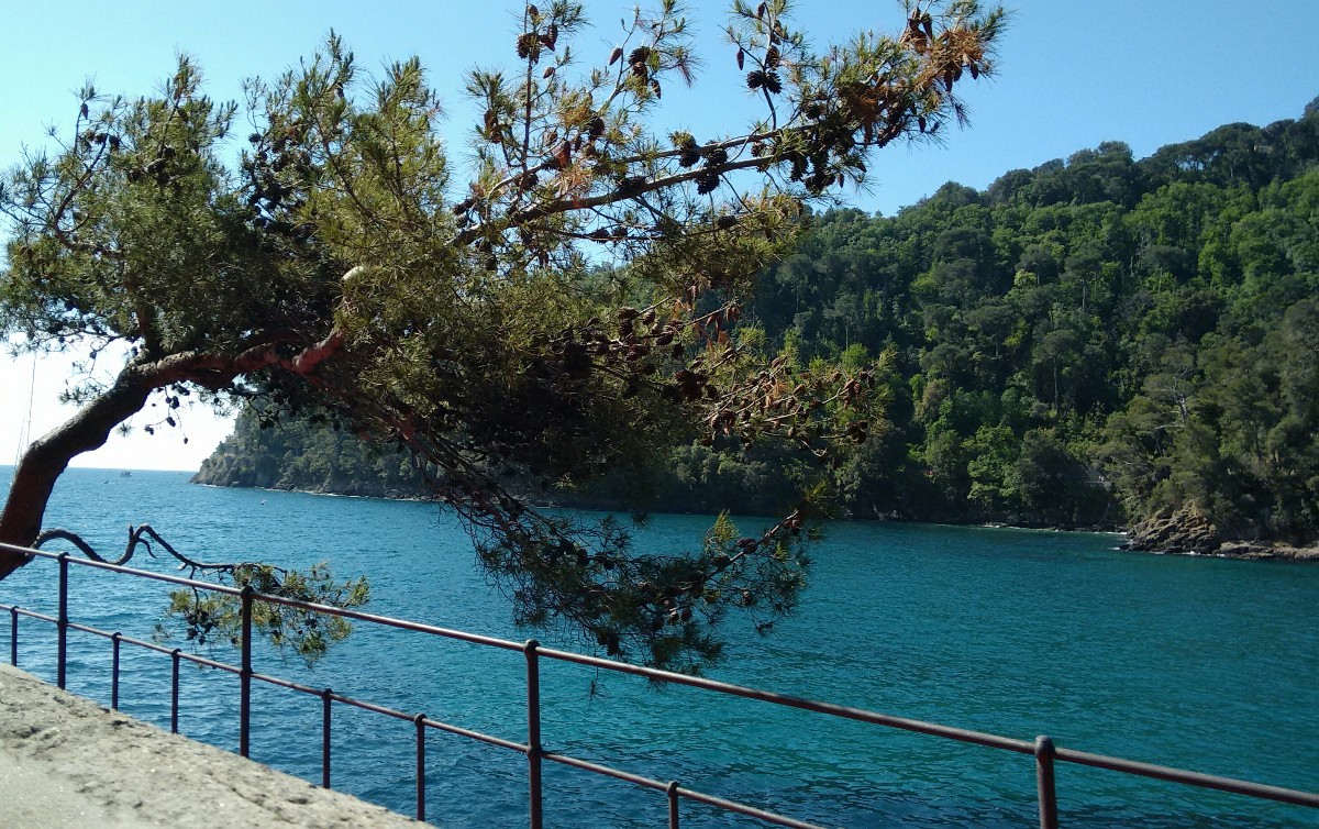 Escursione Rapallo-Santa Margherita-Portofino: a pochi passi dalla spiaggia di Paraggi