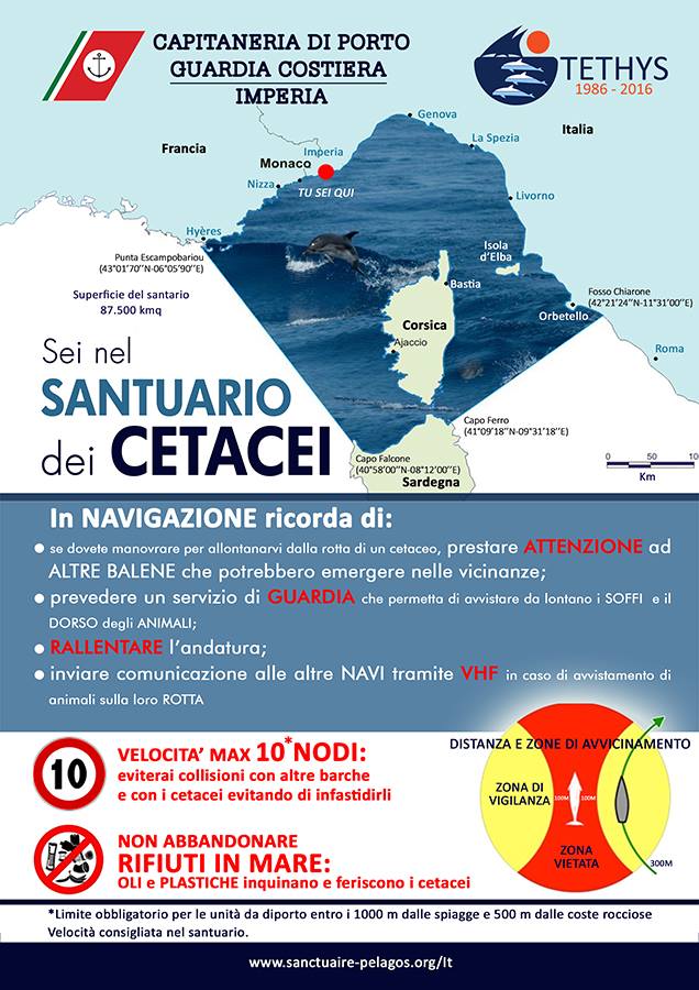 Il codice di condotta stilato da Capitaneria di Porto e Tethys per rispettare i cetacei