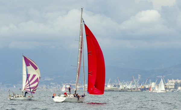 Barche sotto spinnaker alla Millevele 2017 - Foto di Matteo Ferrari