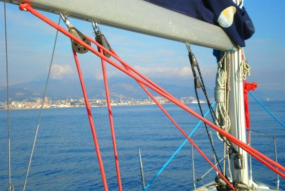 Uscite in mare di ogni tipo con Welconboat