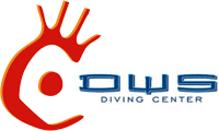 Dws Diving Center logo