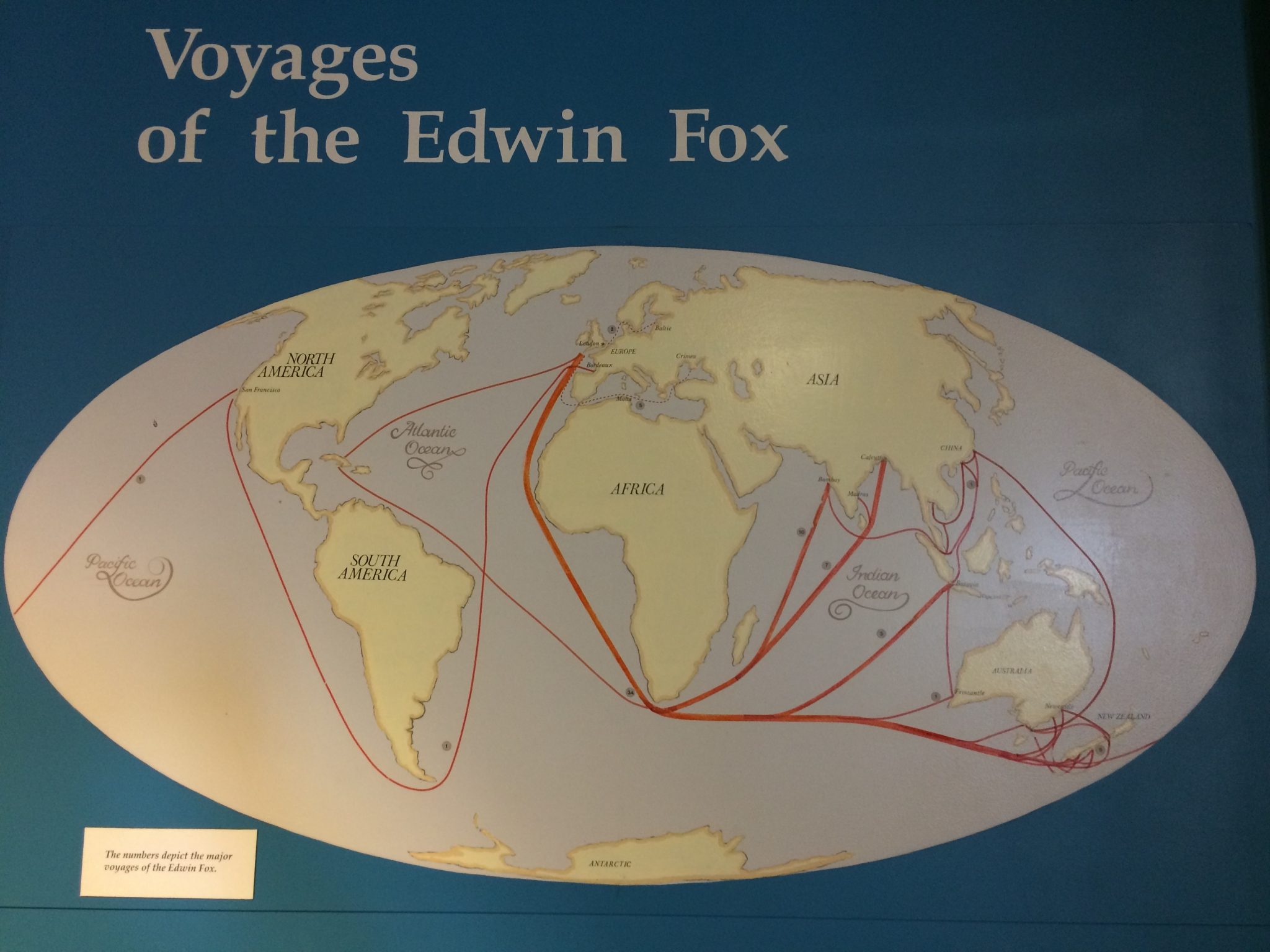 I viaggi della Edwin Fox