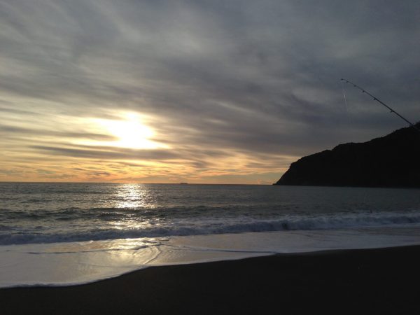 Surfcasting