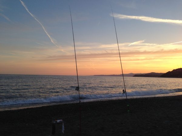 spot surfcasting