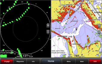 Garmin echoMap 52CV: uno screen dello strumento