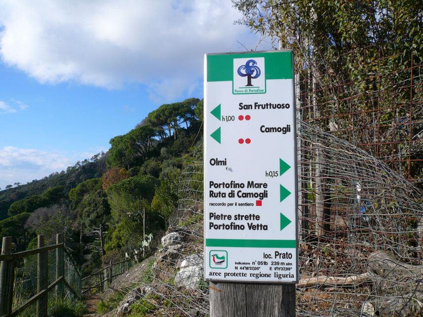 Itinerario Portofino-San Fruttuoso: bivio degli Olmi