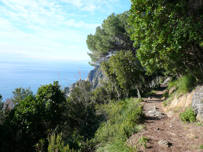 Itinerario Portofino-San Fruttuoso: Base 0