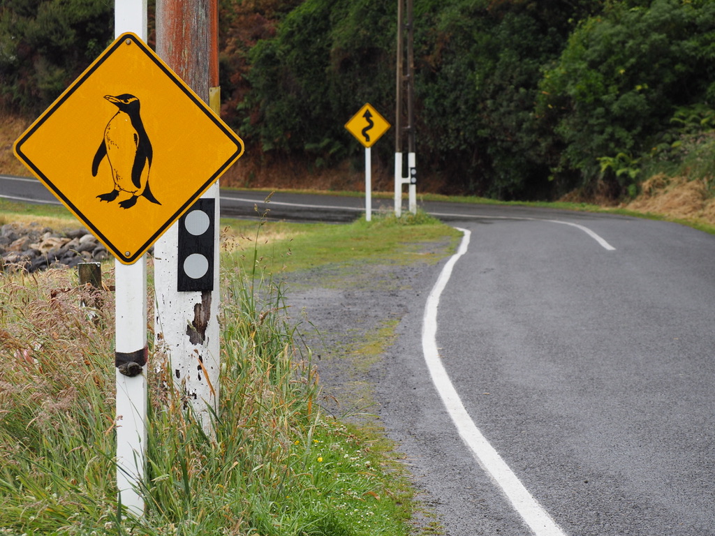 Segnale attraversamento pinguini a Stewart Island in Nuova Zelanda