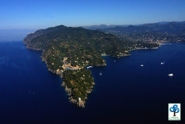 Al via bando pubblico per la gestione degli ormeggi nell’Area Marina Protetta di Portofino