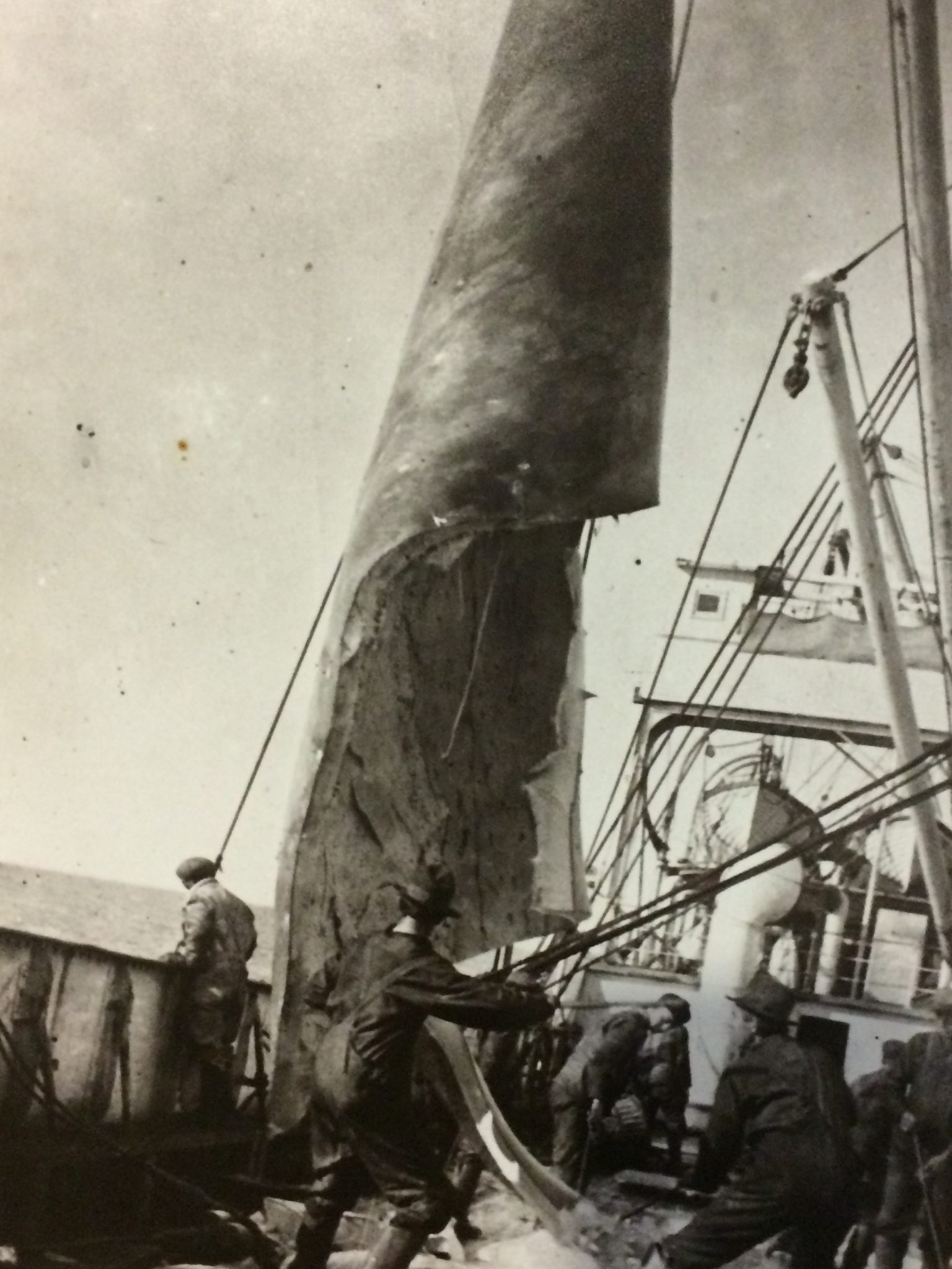 Foto storica di una baleniera in Nuova Zelanda