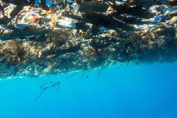 Il mare coperto da rifiuti di plastica
