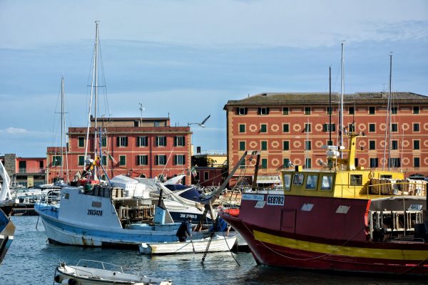 Alcuni dei pescherecci della cooperativa di pescatori di Santa Margherita Ligure