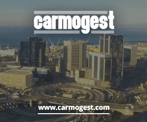 Carmogest Box
