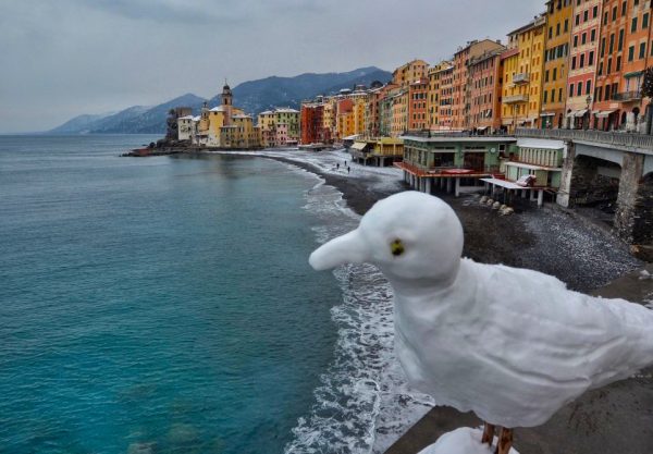 Le foto della nevicata in Liguria