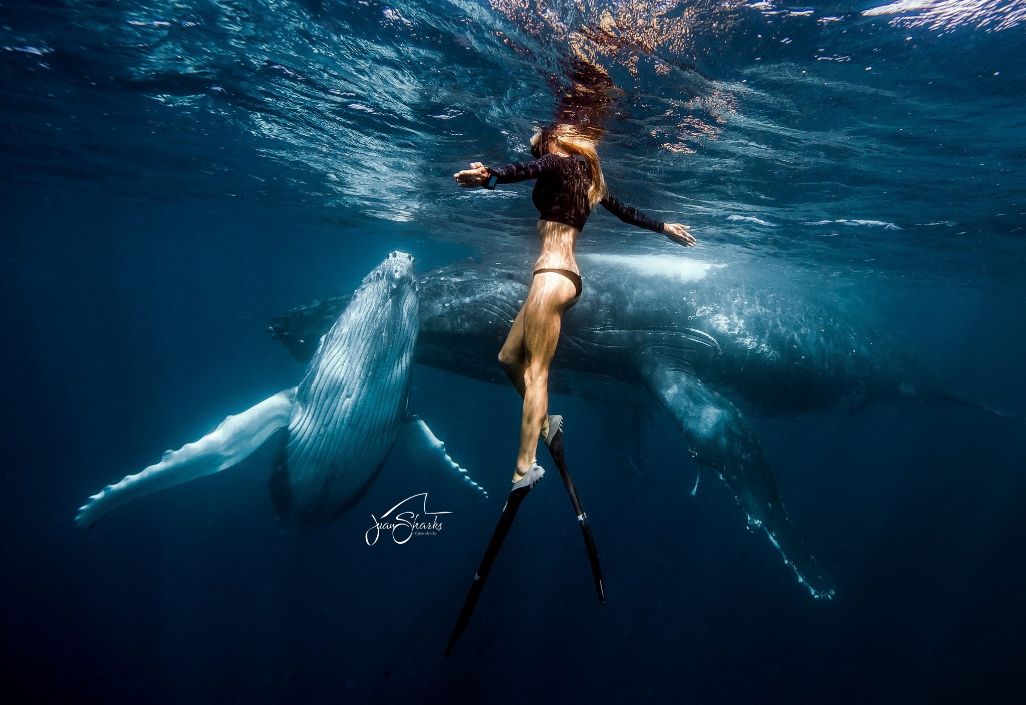 Ocean Ramsey foto @JuanSharks