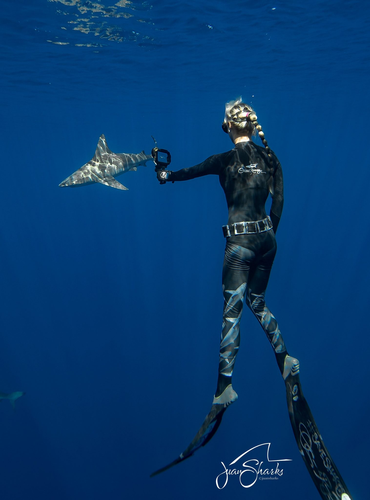 Ocean Ramsey foto @JuanSharks