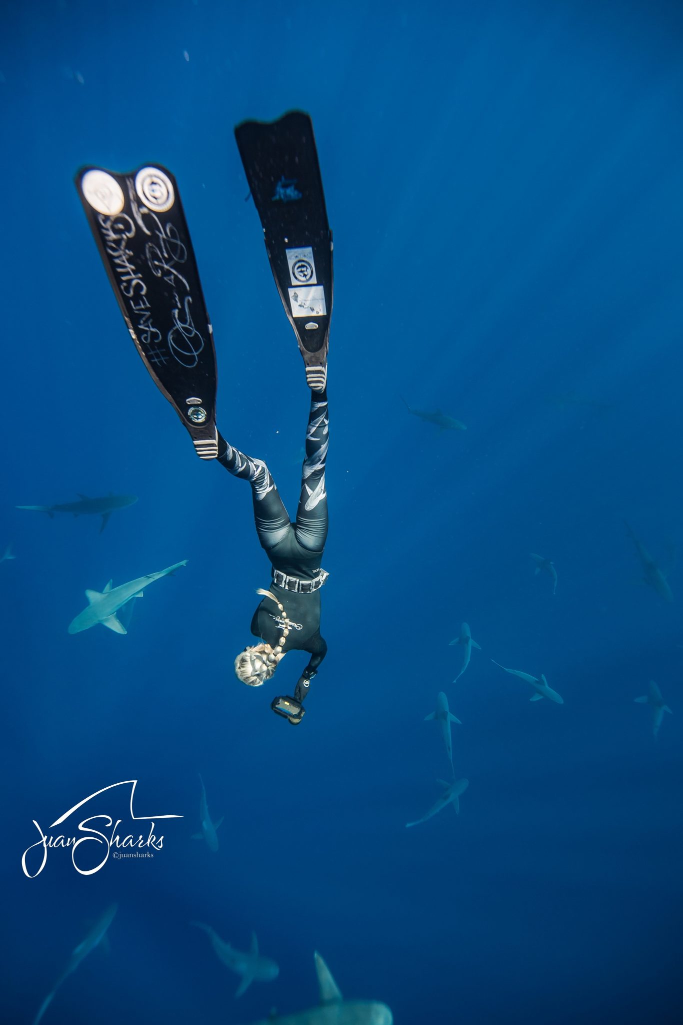 Ocean Ramsey foto @JuanSharks