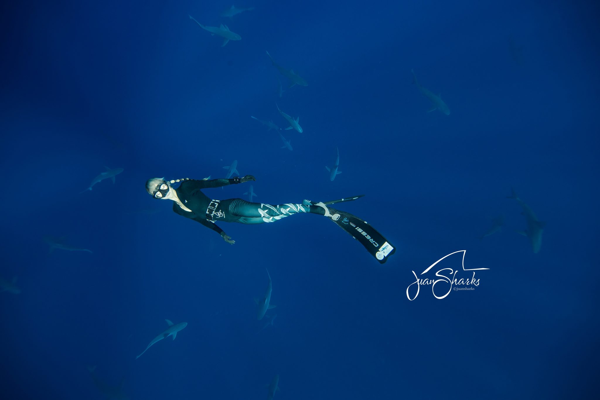 Ocean Ramsey foto @JuanSharks