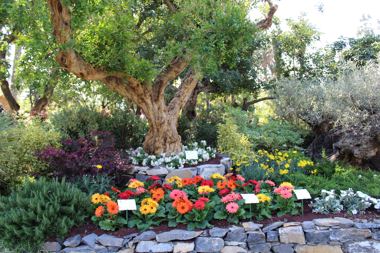 Fiori e piante di Euroflora 2018