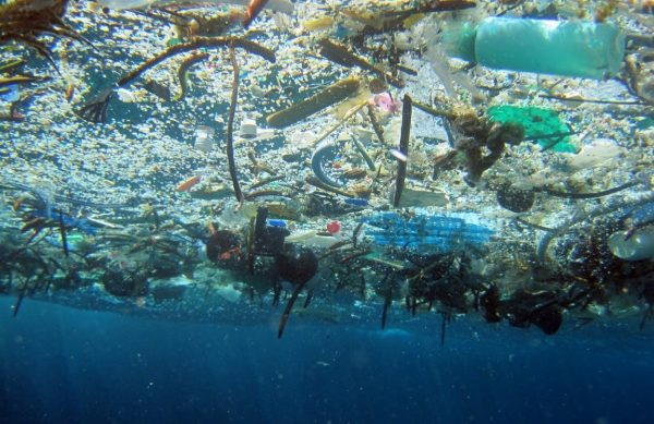 Pacific Trash Vortex