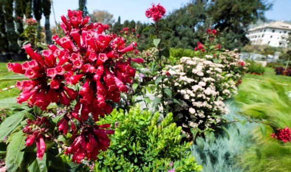 Euroflora 2018 ai Parchi di Nervi