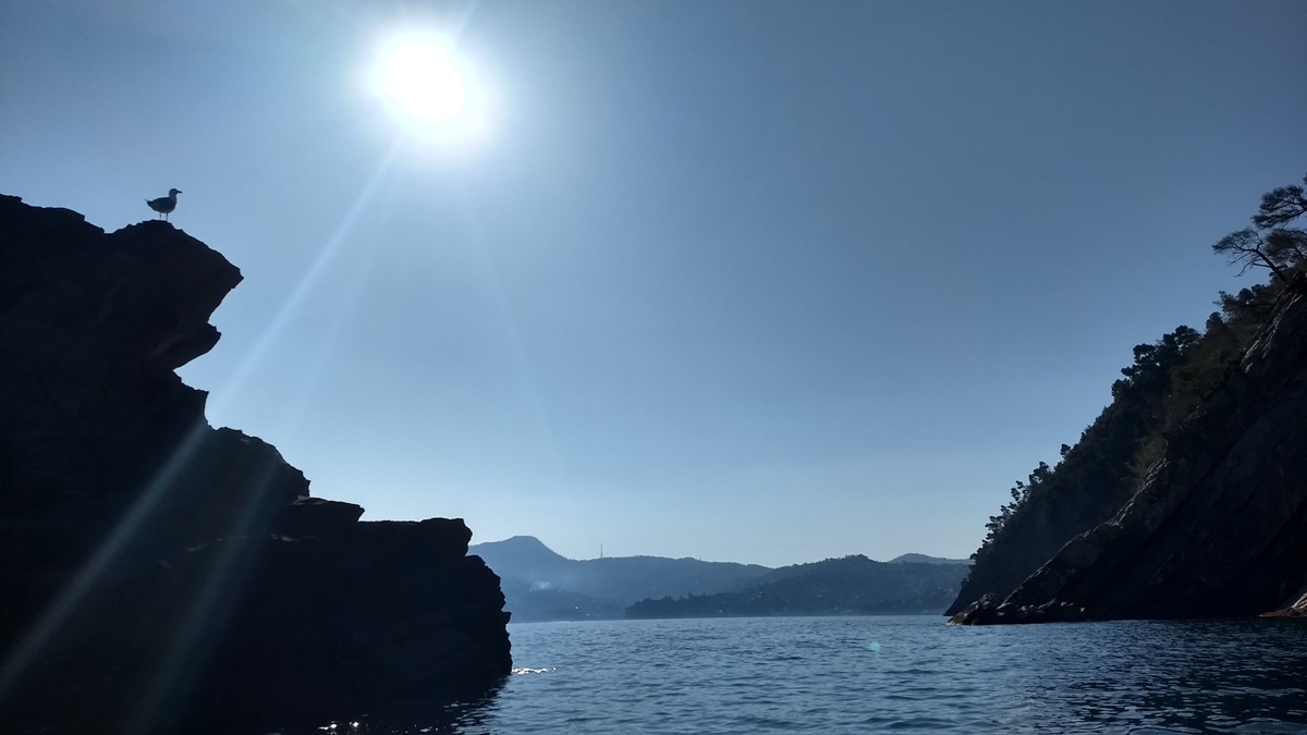 Escursioni in kayak nel Levante ligure
