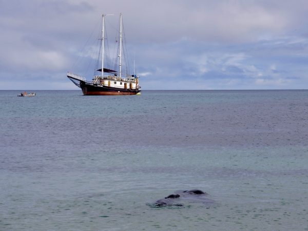 Bahia del Correo