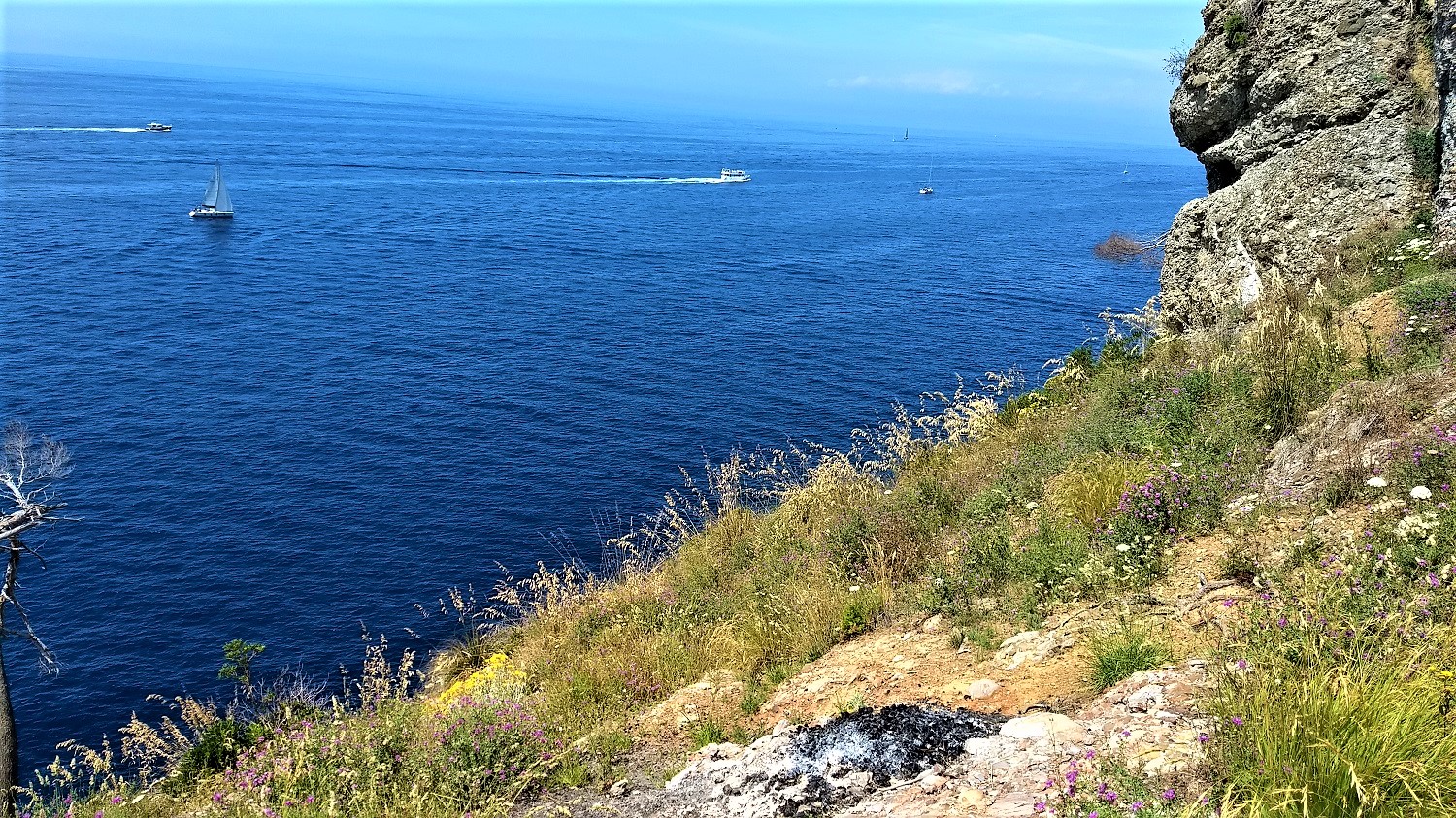 Un tuffo nel Mar Ligure