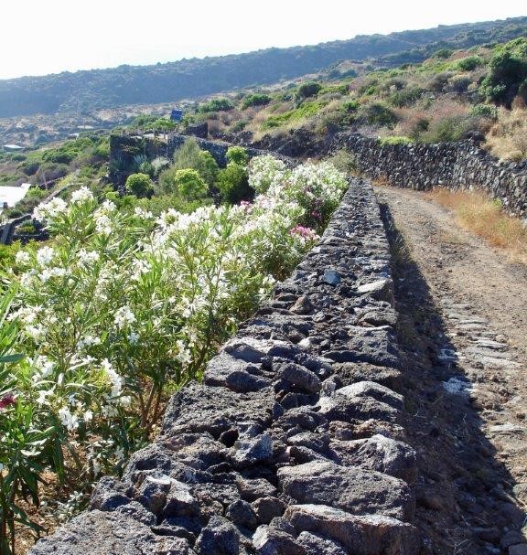 Pantelleria - muri a secco