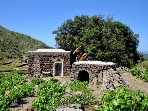 Pantelleria - vigneti e piccoli dammusi