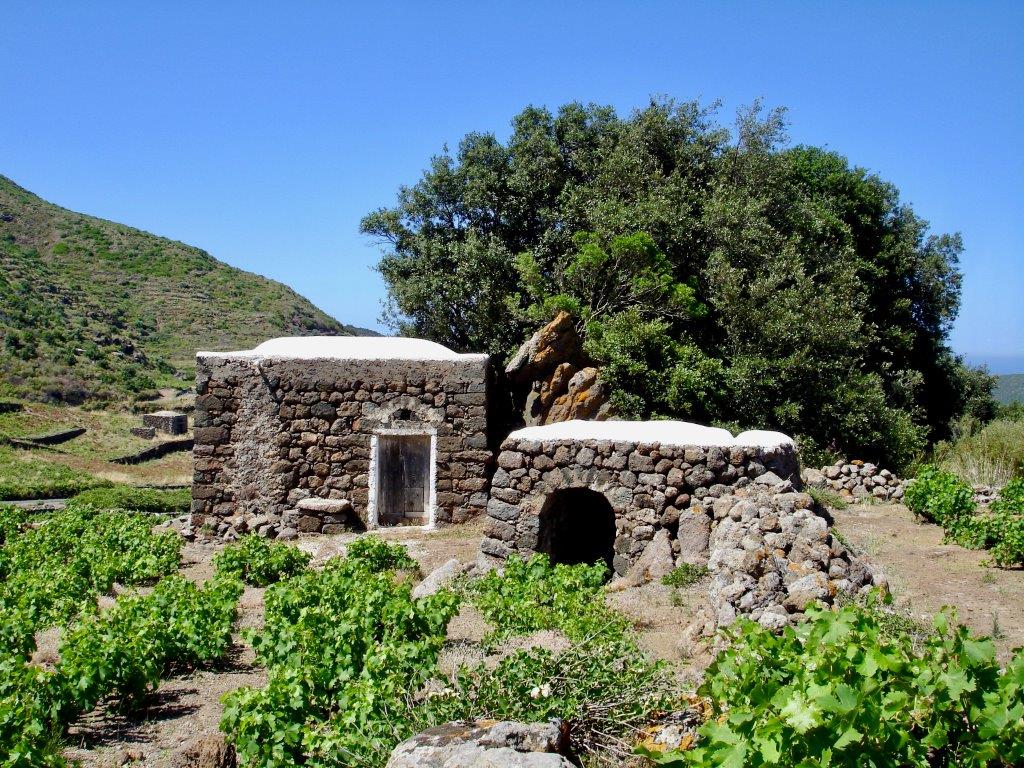 Pantelleria - vigneti e piccoli dammusi