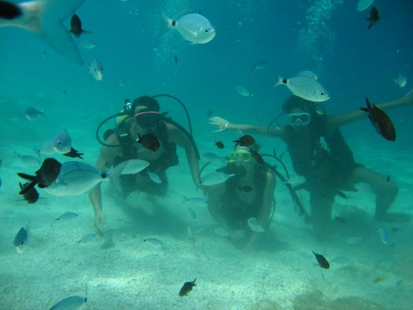 Una facile immersione a Cala Mariolu