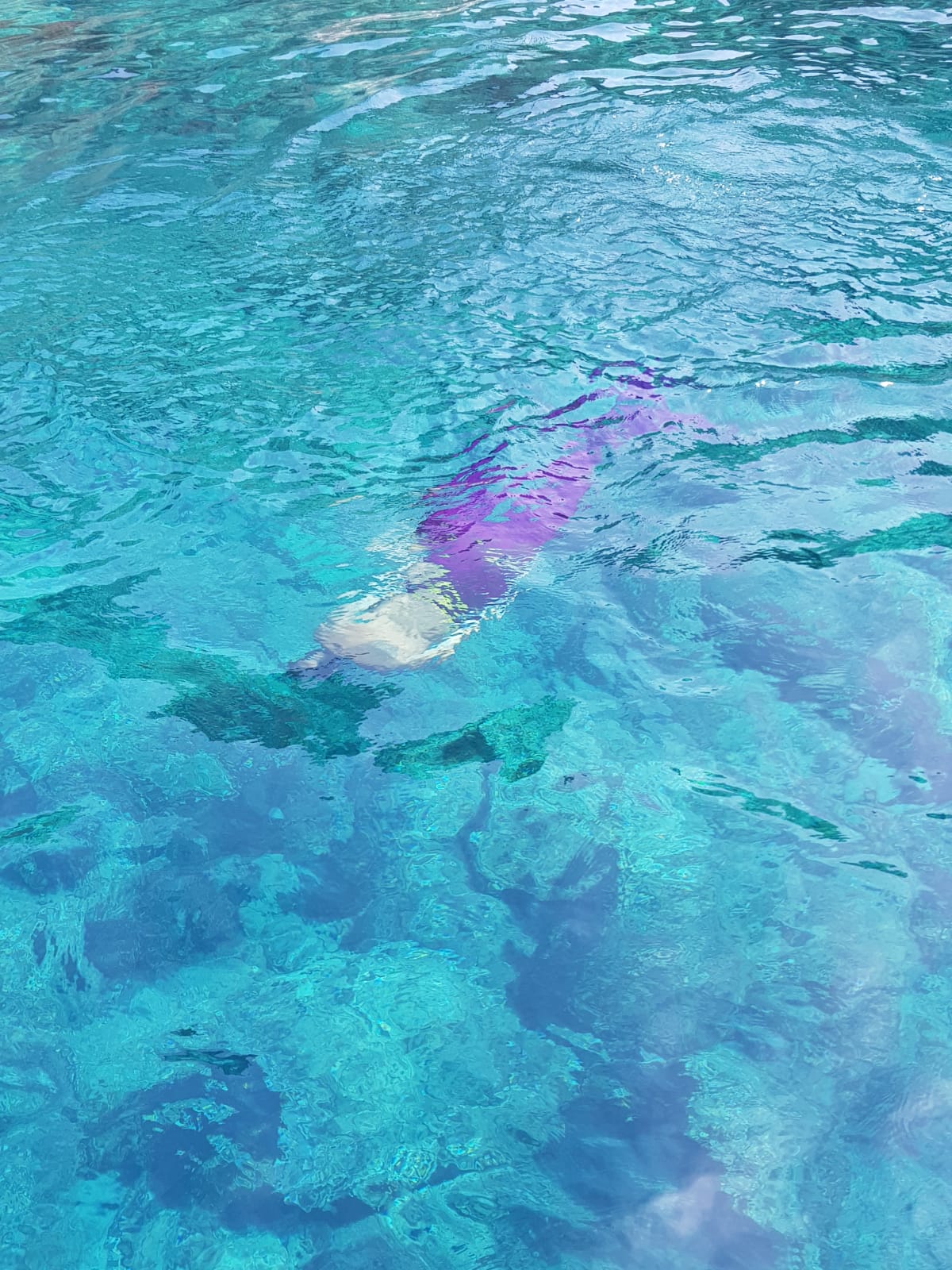 un momento di immersione nel mermaiding 